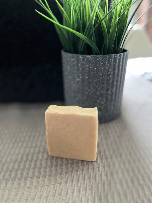 Coconut Soap 🥥