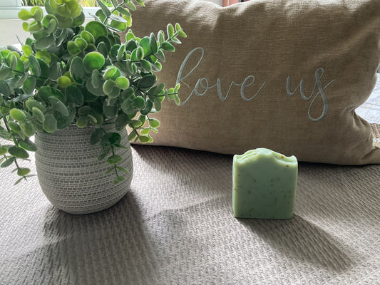 Eucalyptus & Mint soap